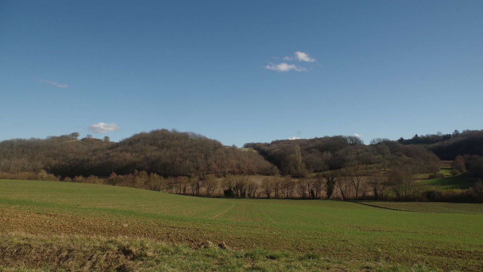 Coteaux gersois de la vallée de la Lauze au lever du jour