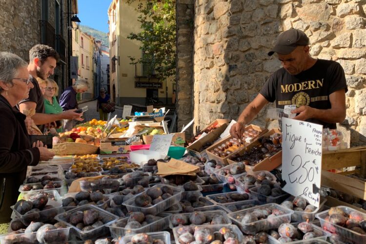 Les marchés du pays basque : notre guide des incontournables