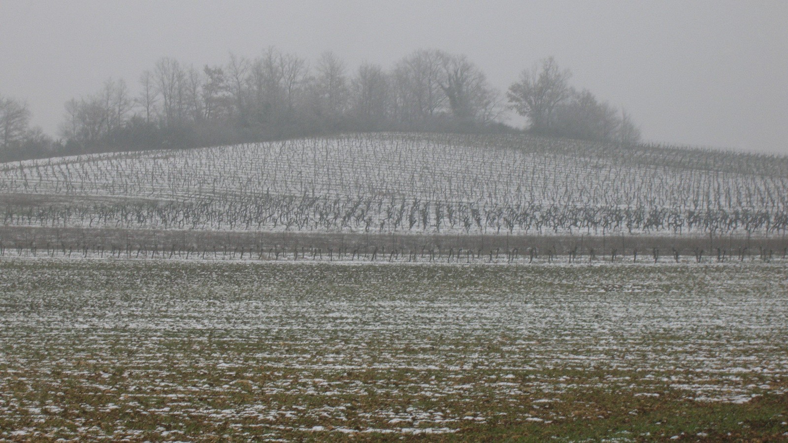 Vignoble de Gaillac enneigé sous un ciel d'hiver
