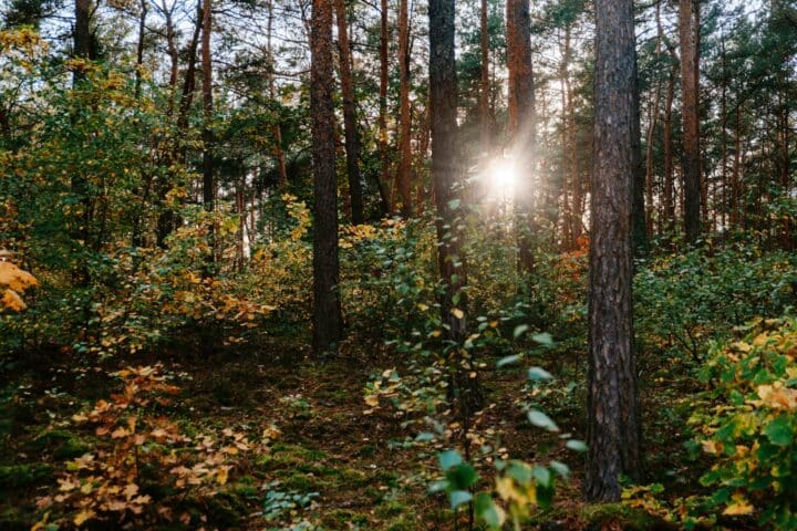 Que faire pendant la toussaint dans les landes : nos idées pour des vacances en famille