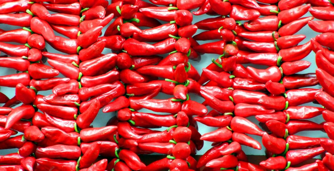 La fête du piment d&rsquo;espelette 2026 : tout savoir avant de faire le déplacement